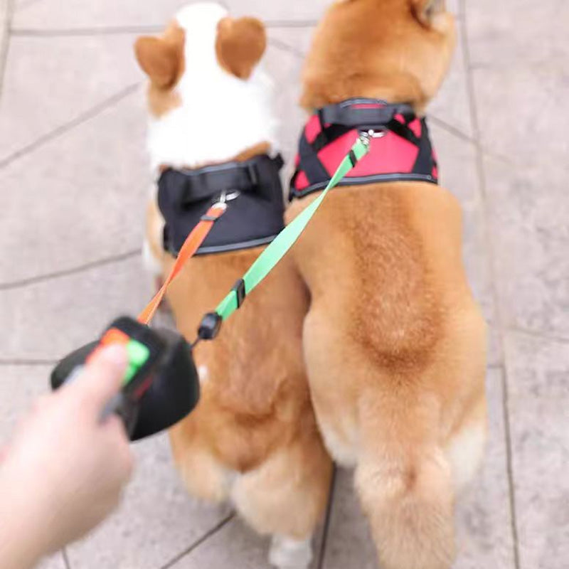 Pet Anti-Tangling Leash